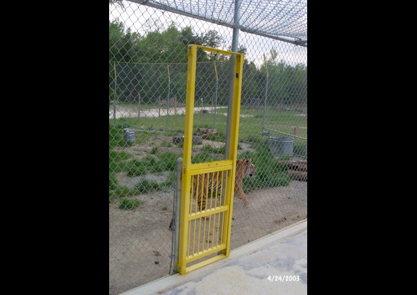 Drop door in tiger shift cage - 2003