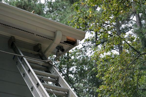 Damaged section of fascia and soffit - September 2016